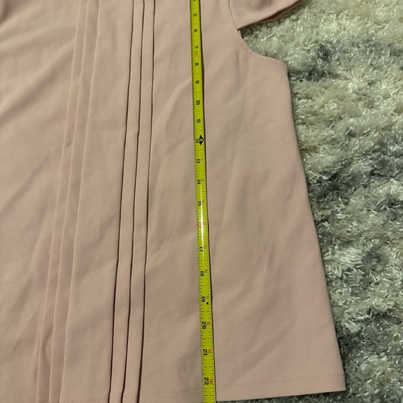 Ann Taylor | Blush Ruffle Blouse - Picture 8 of 9